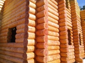 Обработка бревенчатого дома огнебиозащитным составом Неомид для консервации на время усадки в Серпухове, Подмосковье.
