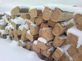 Бревно лафет из зимнего леса для ручной рубки дома.