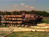 Строевой, северный лес для ручной рубки бани на участке в Домодедовском районе.