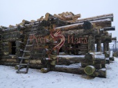 Изготовление избы из большого диаметра леса на площадке в Калужской области.