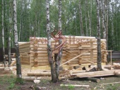 Изготовление деревянного сруба бани на фундаменте в Подмосковье, Чеховский район.