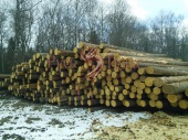 Строевой лес диаметр 26-28 для строительства дома на готовом фундаменте. Серпуховский район. Подмосковье.