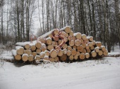 Зимний, архангельский лес для изготовления сруба избы-бани в Пущино, Московская область.
