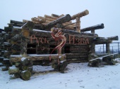 Изготовление большого дикого сруба из больших бревен кедра в Калуге.