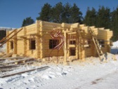 Строим сруба дома из архангельской зимней сосны диаметр 280-300 мм