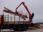 Процесс погрузки бревен в автомашину на лесной делянке в Архангельской области