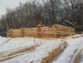 Строительство дикой бани под скобель в Москве