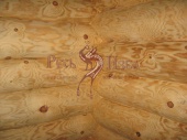 Фото фактурного рисунка древесины бревен после шлифовки.