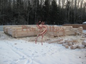 Строим сруба зимнего леса. Серпуховский район.